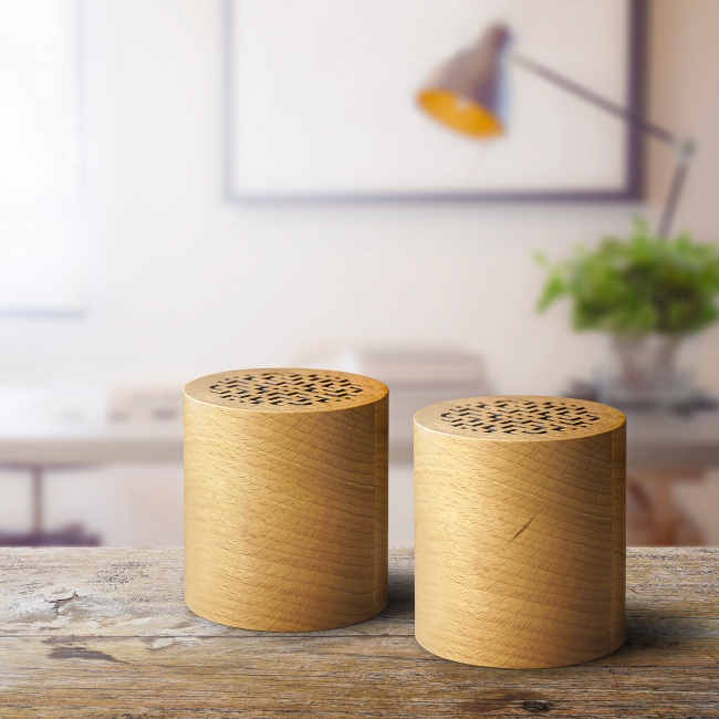Vue 4 de Set de 2 enceintes WOODSTOK