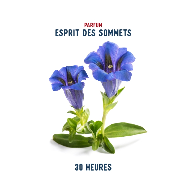 Vue 4 de Bougie Esprit des Sommets 140g (30H)