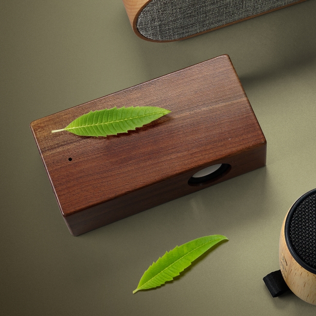 Vue 2 de Enceinte interactive WIRE