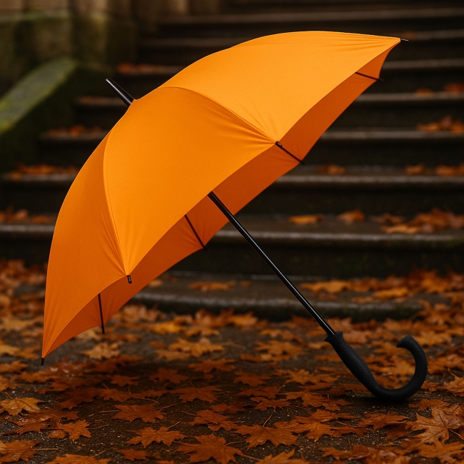 Vue 4 de Parapluie golf SING'IN