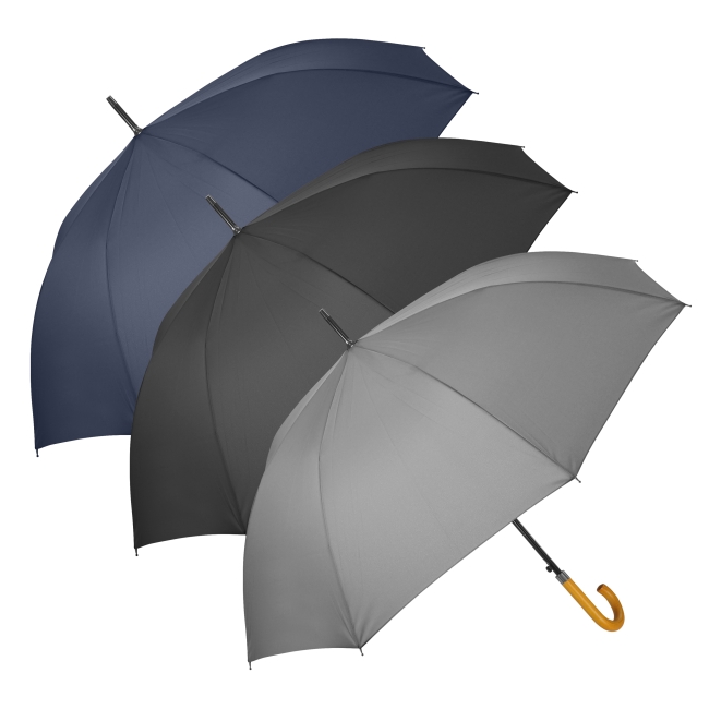 Vue 2 de Parapluie ville CHARMANT