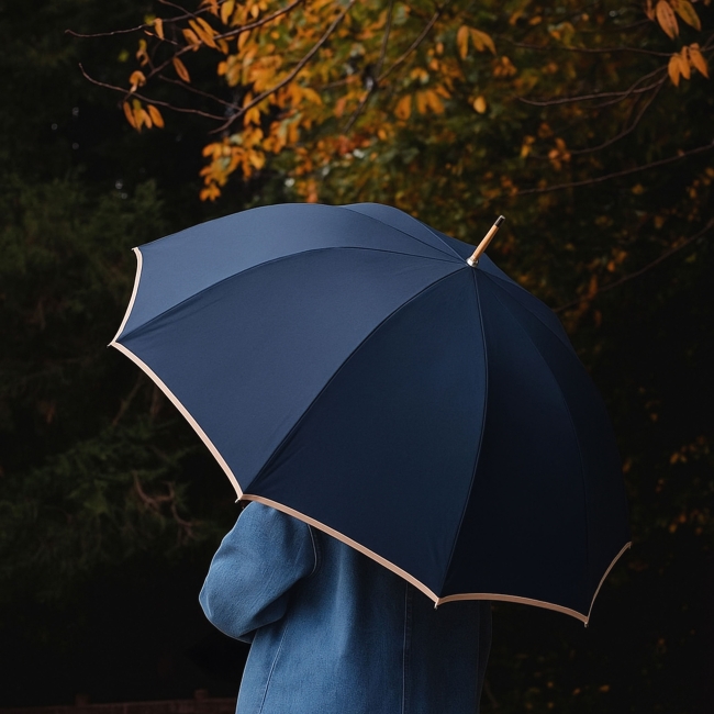 Vue 4 de Parapluie golf LEOPOLD