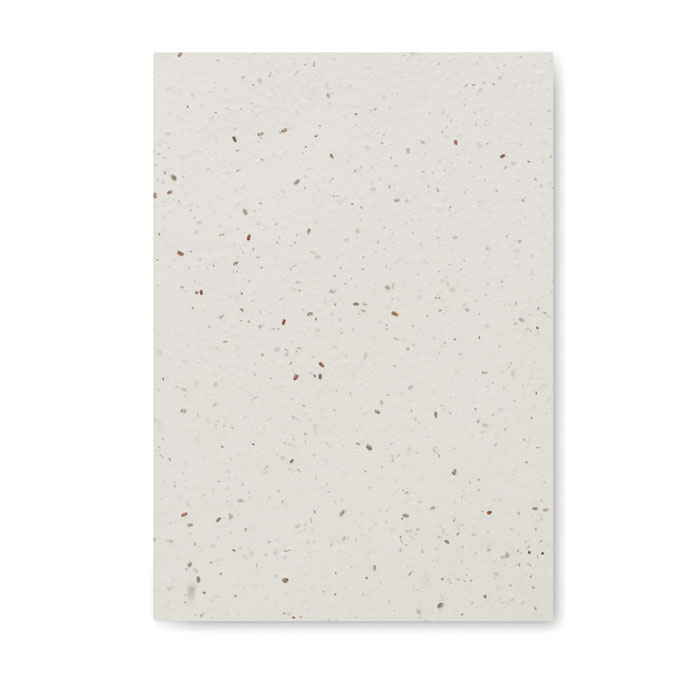 Vue 3 de SEED BOOK