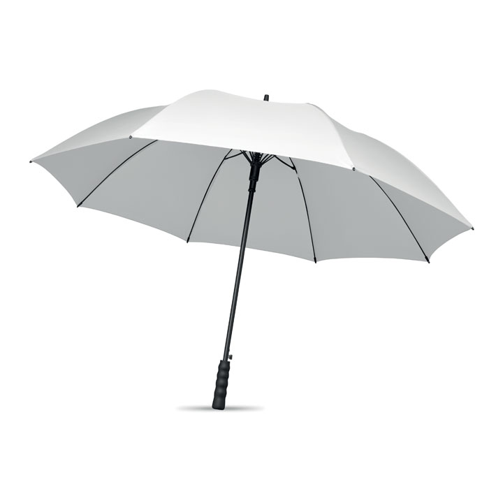 Vue 2 de LLUVIA