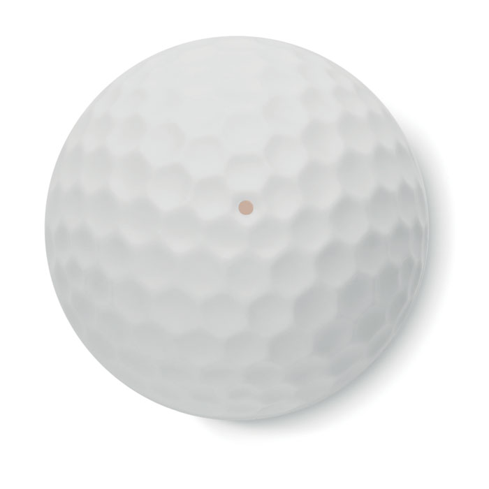 Vue 2 de GOLF