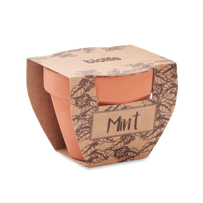 Vue 4 de MINT POT