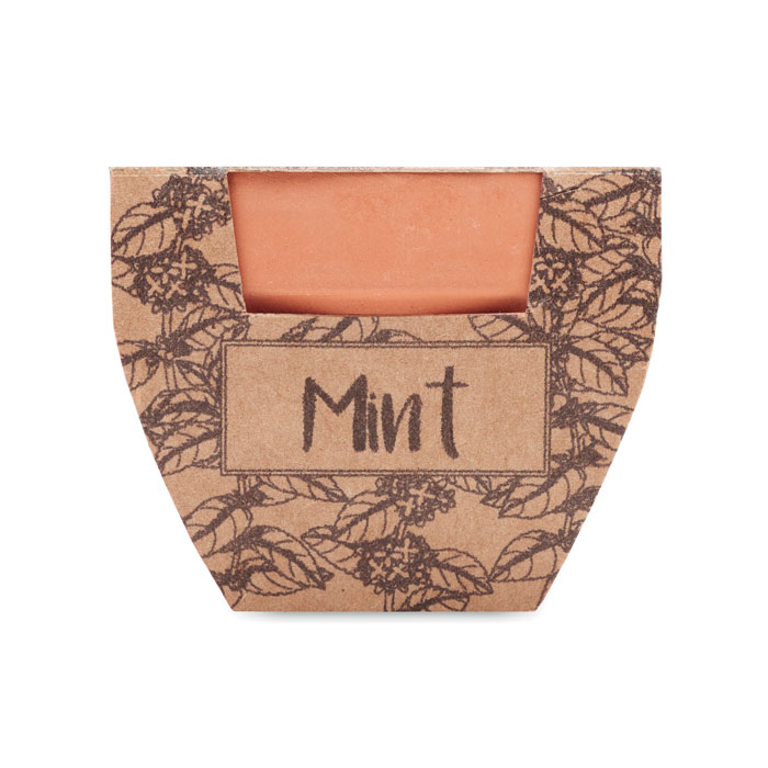 Vue 2 de MINT POT