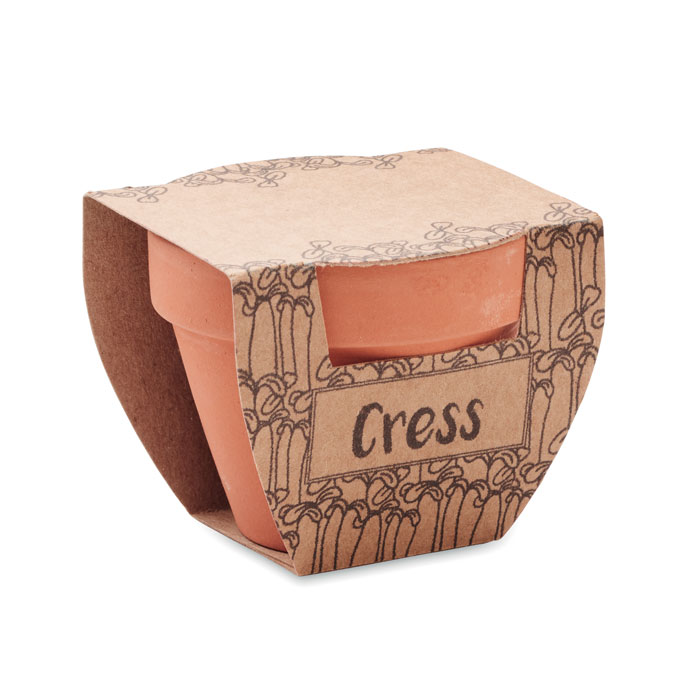 Vue 3 de CRESS POT