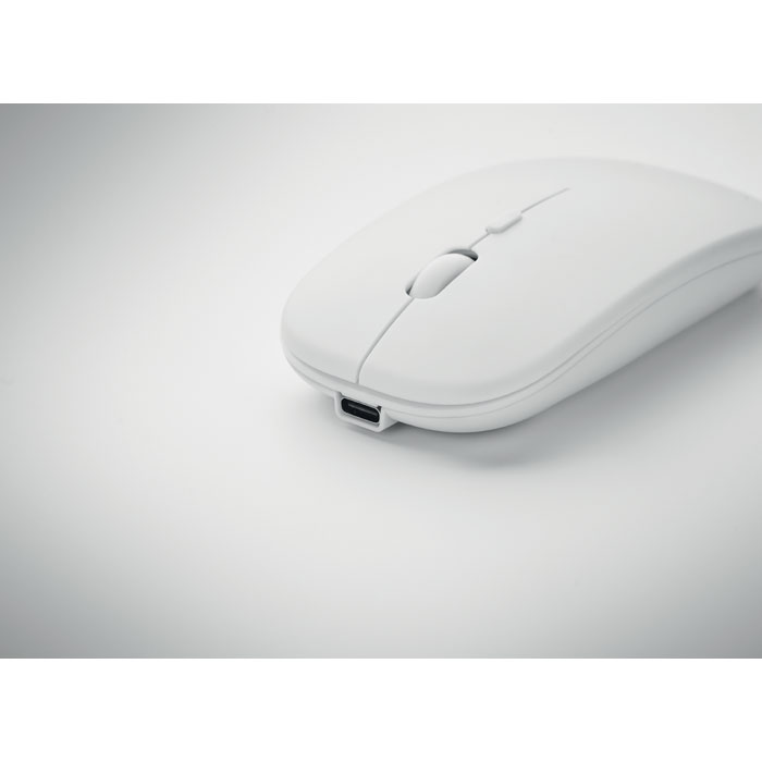 Vue 6 de CURVY C