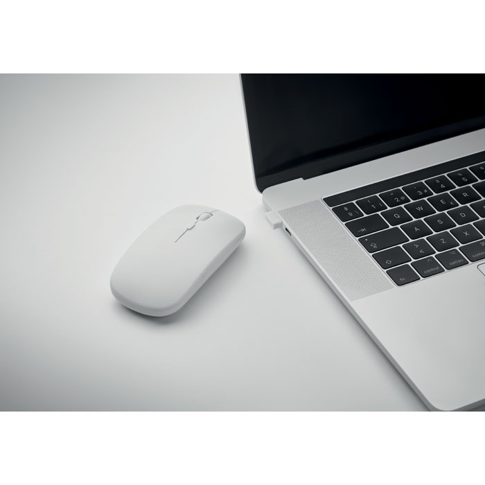 Vue 8 de CURVY C
