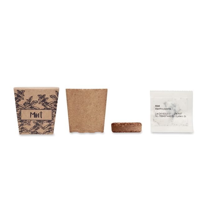 Vue 2 de MINT KIT