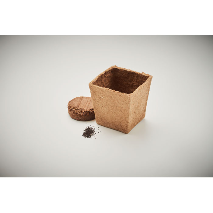 Vue 6 de MINT KIT