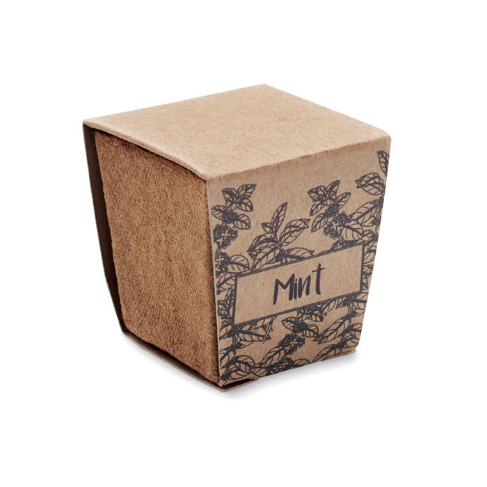Vue 8 de MINT KIT