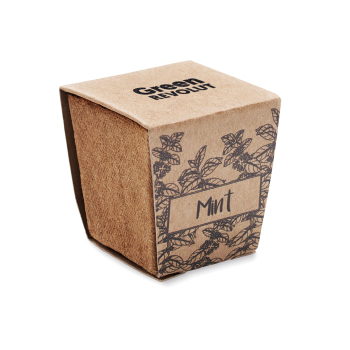 Vue 5 de MINT KIT