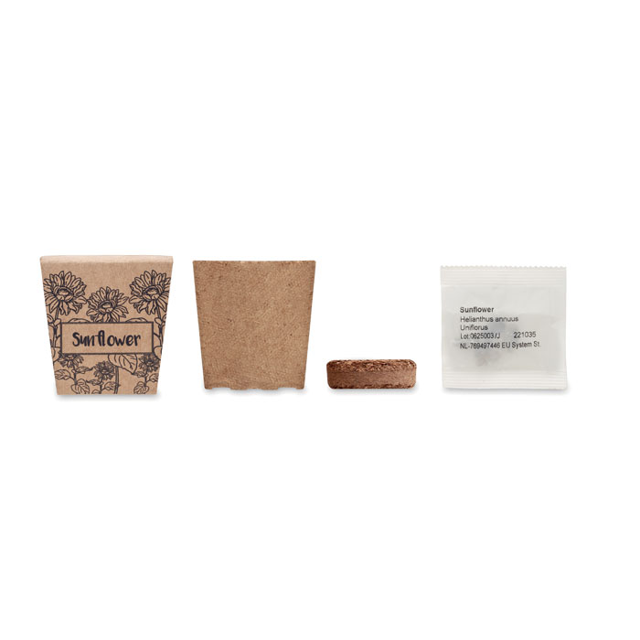 Vue 2 de SUNFLOWER KIT