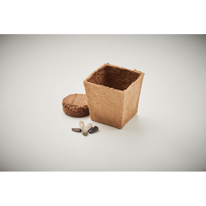 Vue 6 de SUNFLOWER KIT