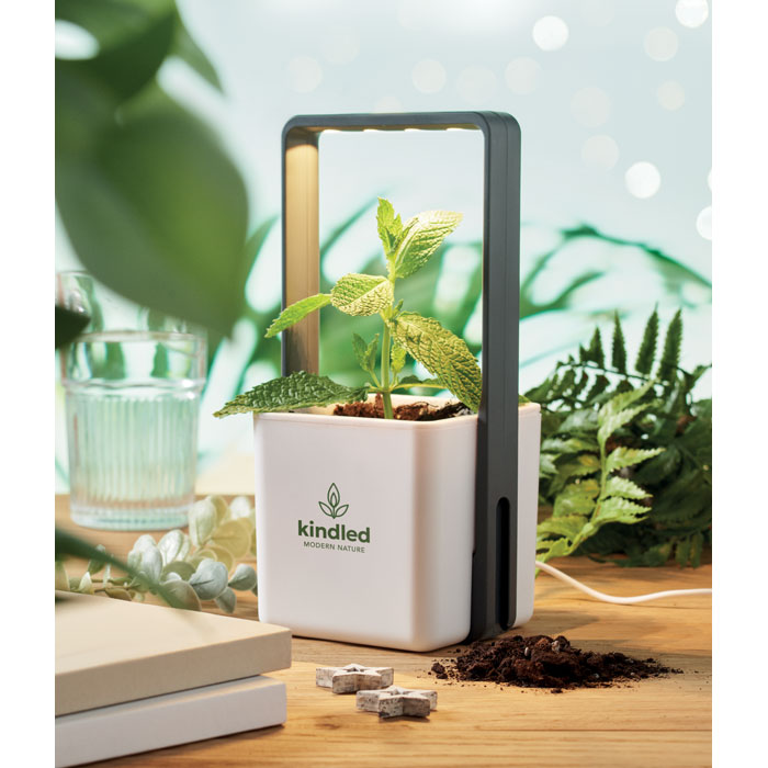 Vue 3 de LUSHLET