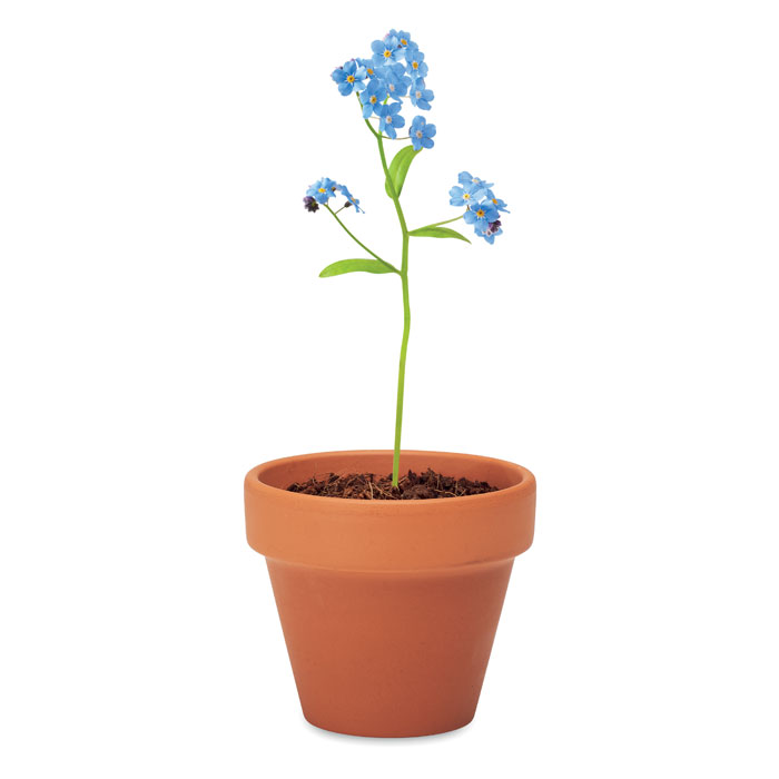 Vue 5 de FORGET ME NOT