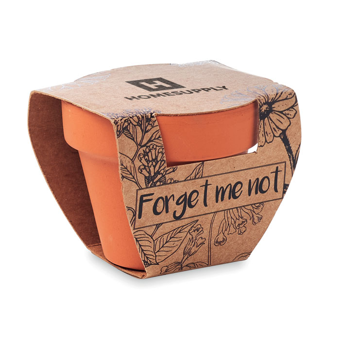 Vue 4 de FORGET ME NOT
