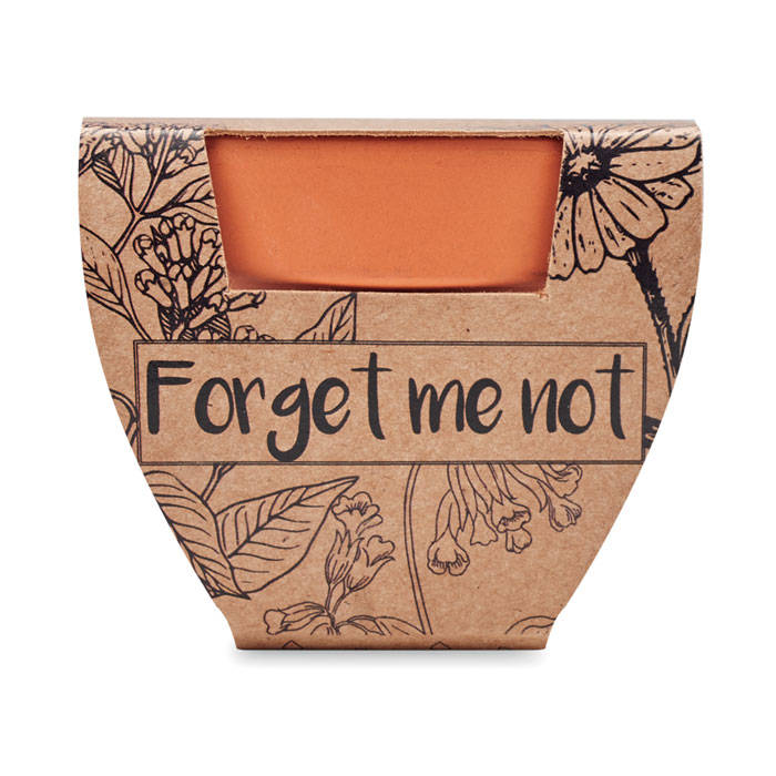 Vue 2 de FORGET ME NOT