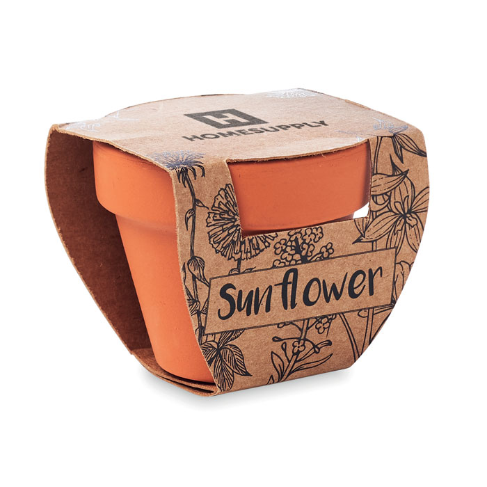 Vue 4 de SUNFLOWER
