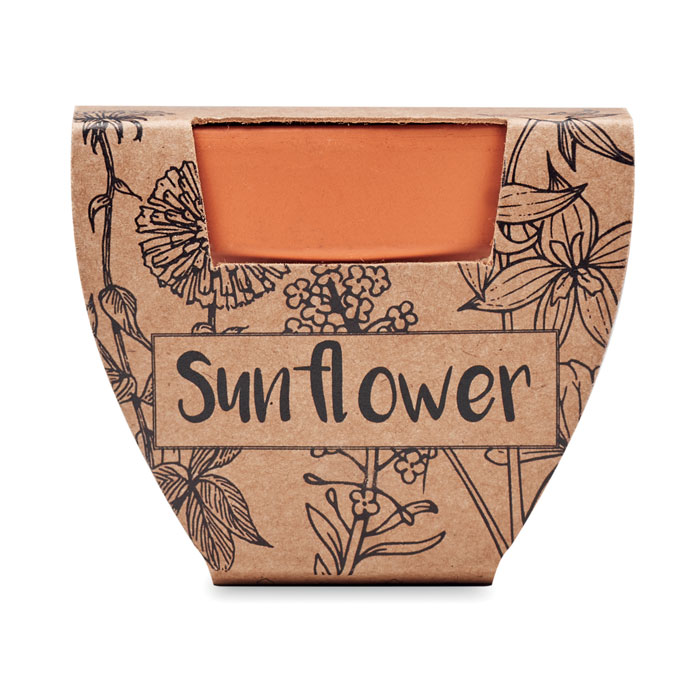 Vue 2 de SUNFLOWER