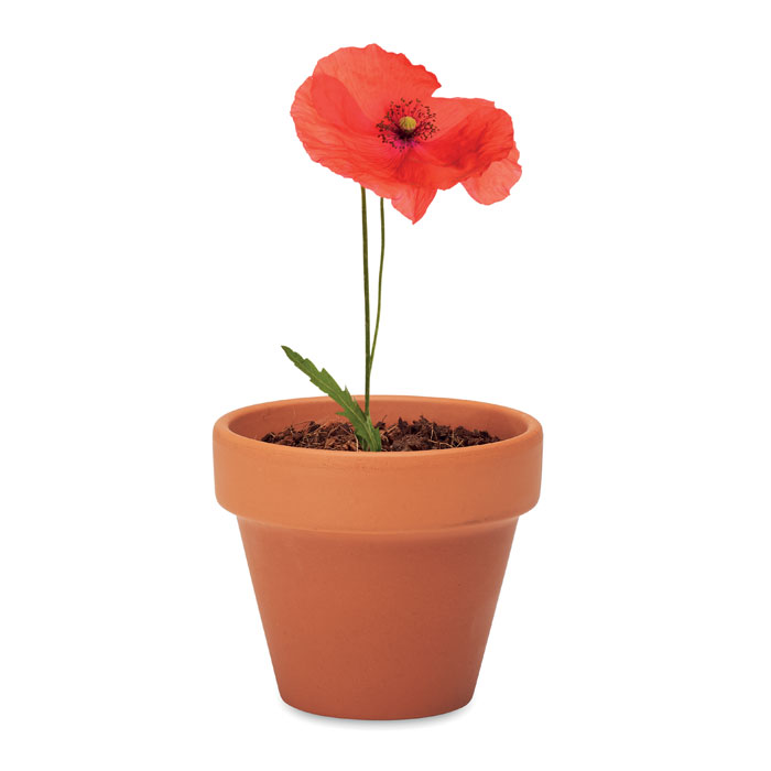 Vue 4 de RED POPPY