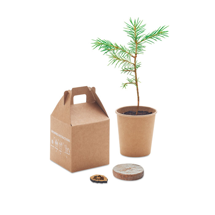 Vue 4 de GROWTREE™