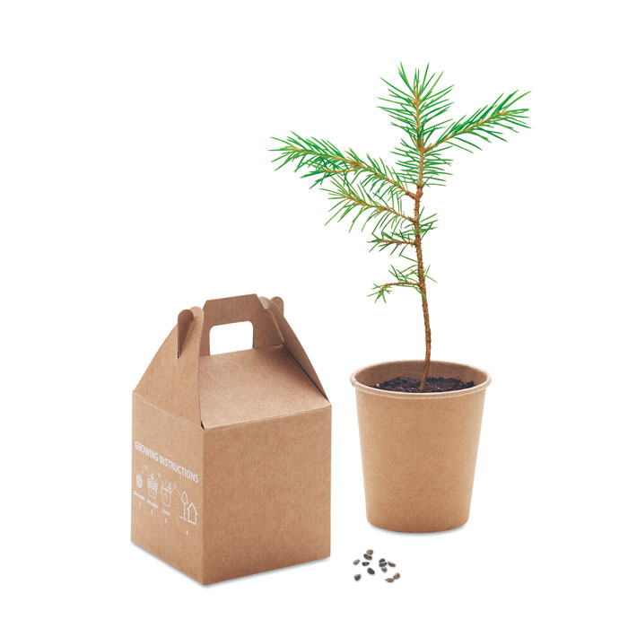 Vue 3 de GROWTREE™