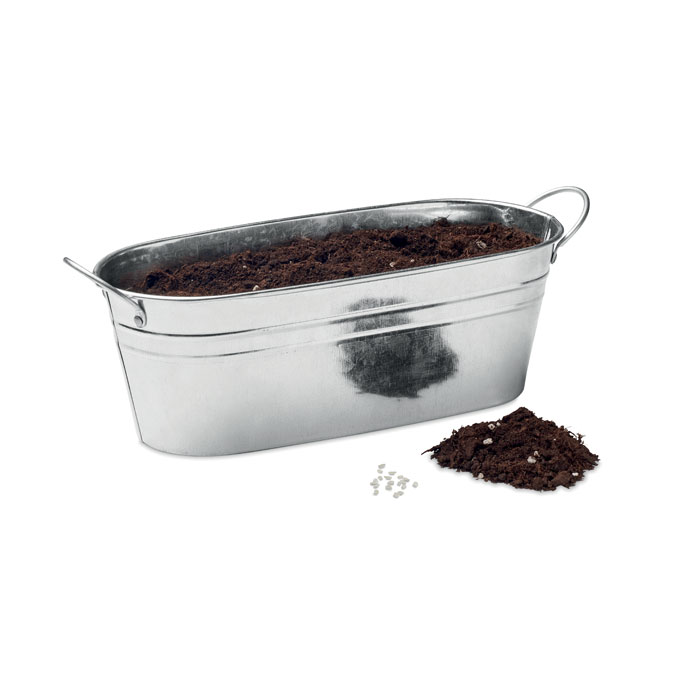 Vue 3 de MIX SEEDS