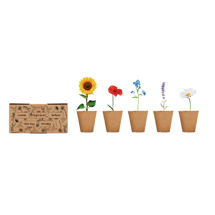 Vue 4 de FLOWERS