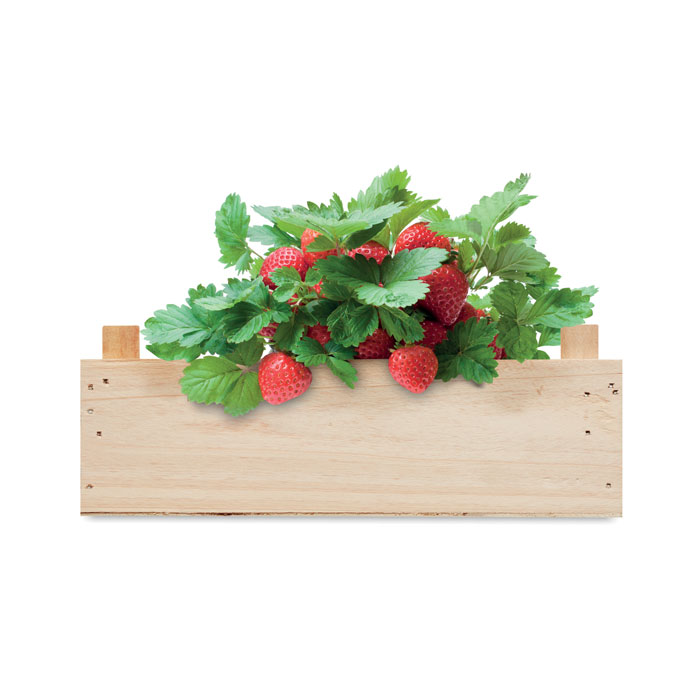 Vue 4 de STRAWBERRY