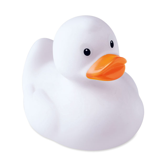 Vue 2 de DUCK