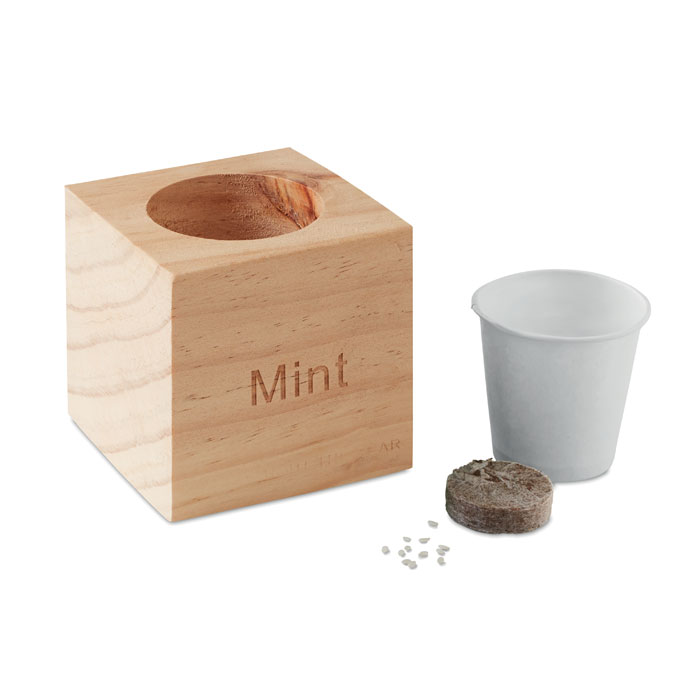 Vue 2 de MENTA