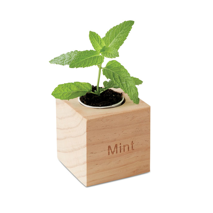 Vue 3 de MENTA
