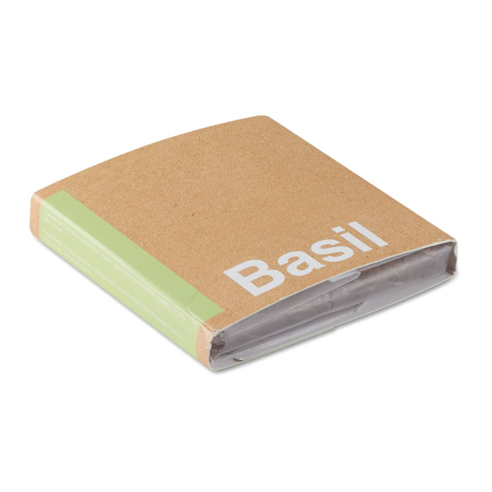 Vue 4 de BASIL