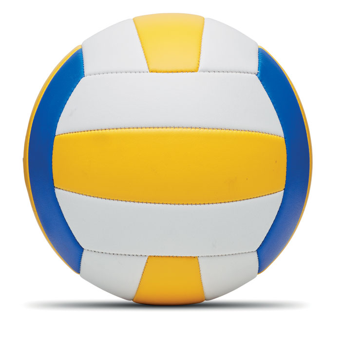 Vue 2 de VOLLEY