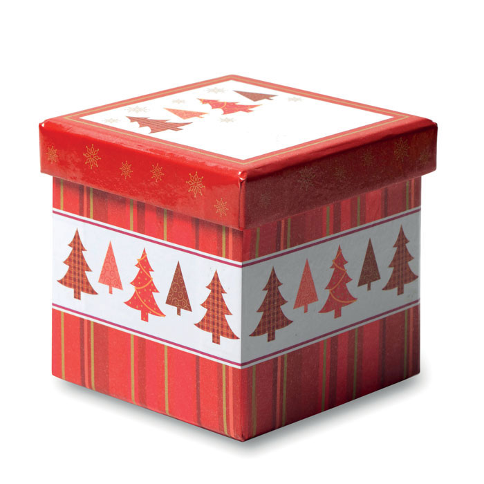 Vue 3 de SNOWY