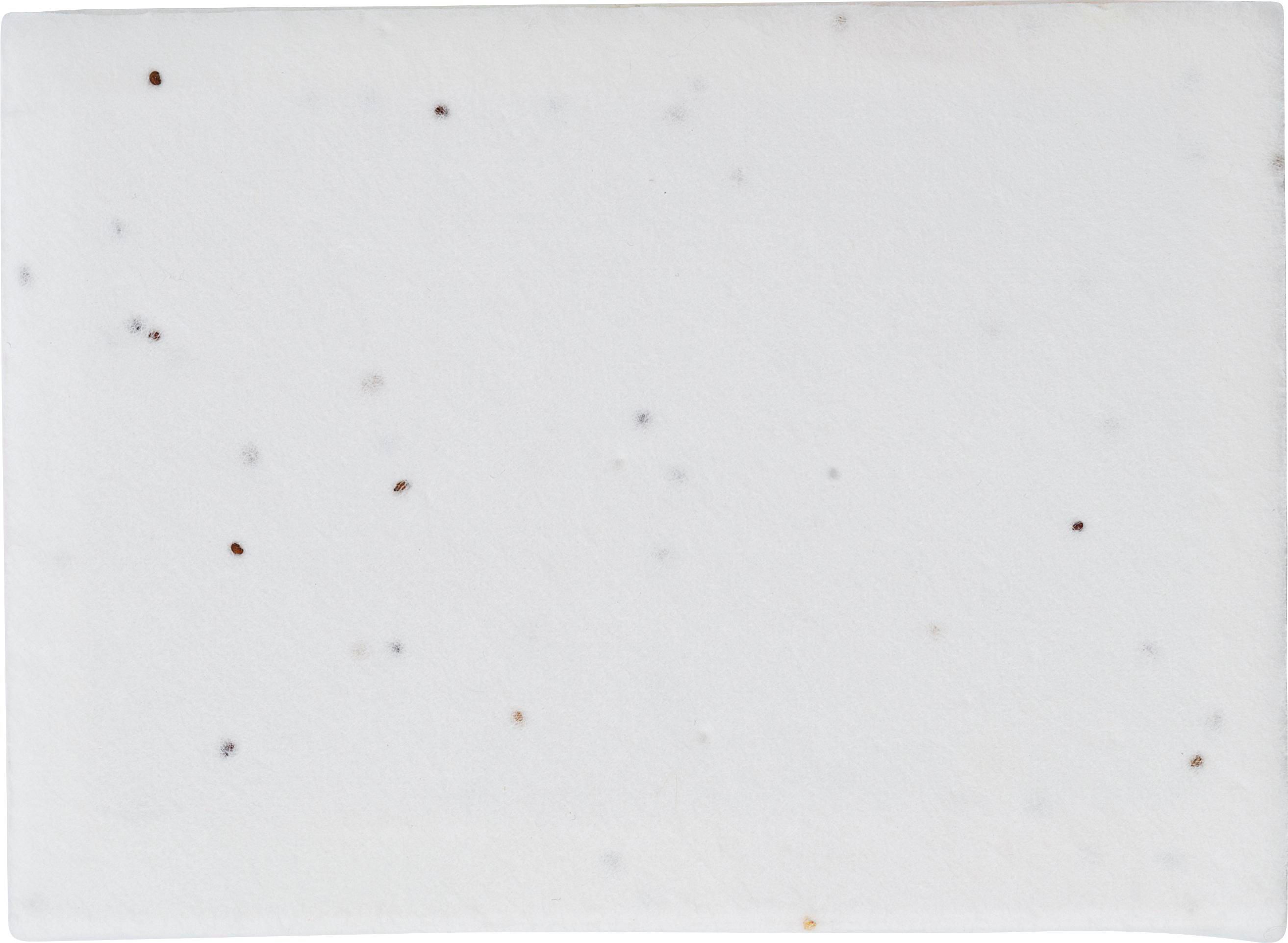 Vue 3 de Notes adhésives Patricia | Papier ensemencé | 6 pièces