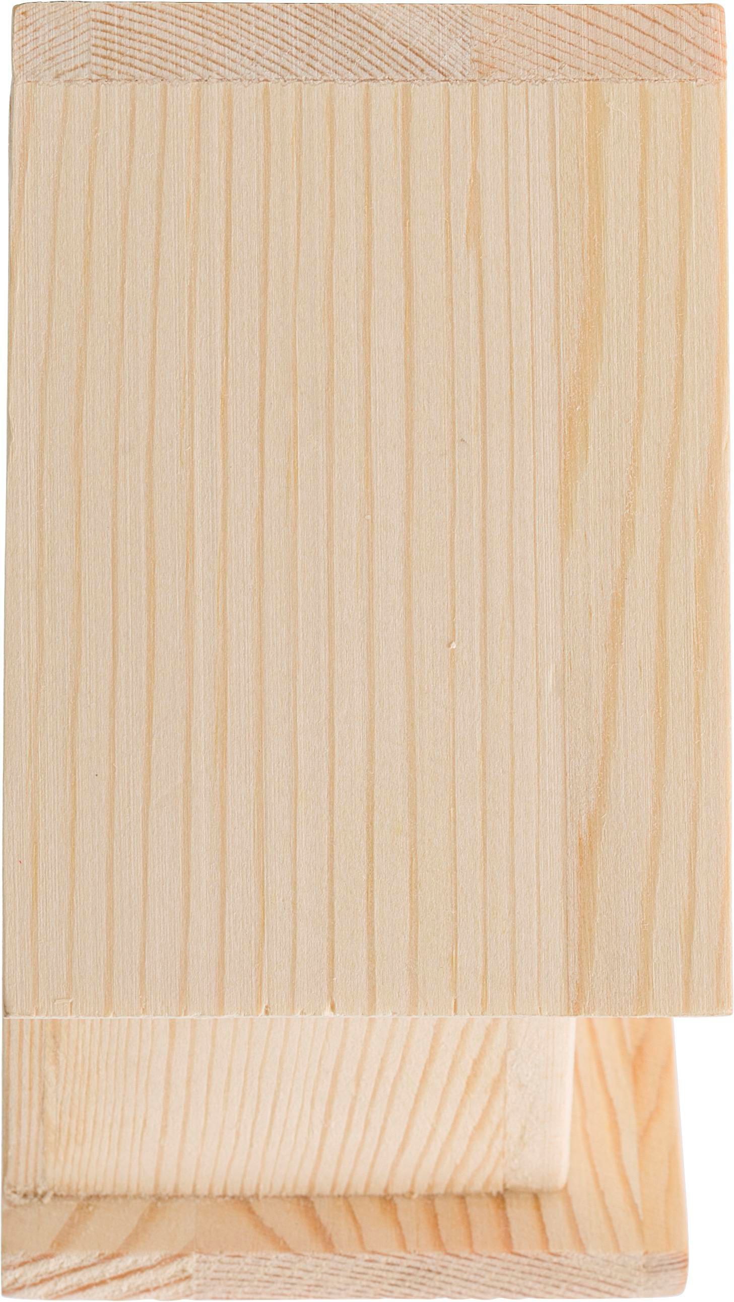 Vue 2 de Nichoir Wesley | Bois | Set de peinture