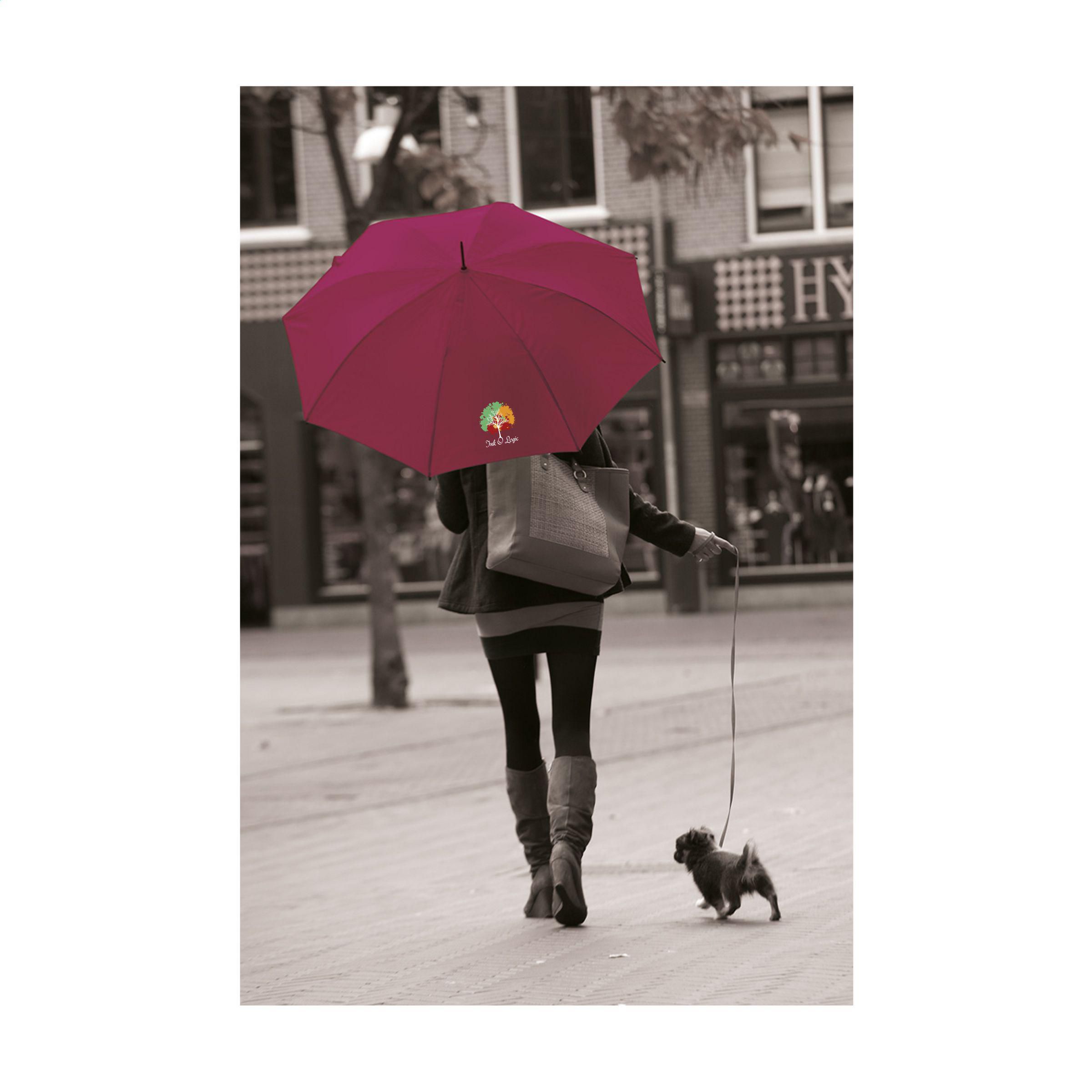 Vue 12 de Colorado parapluie 23,5 inch