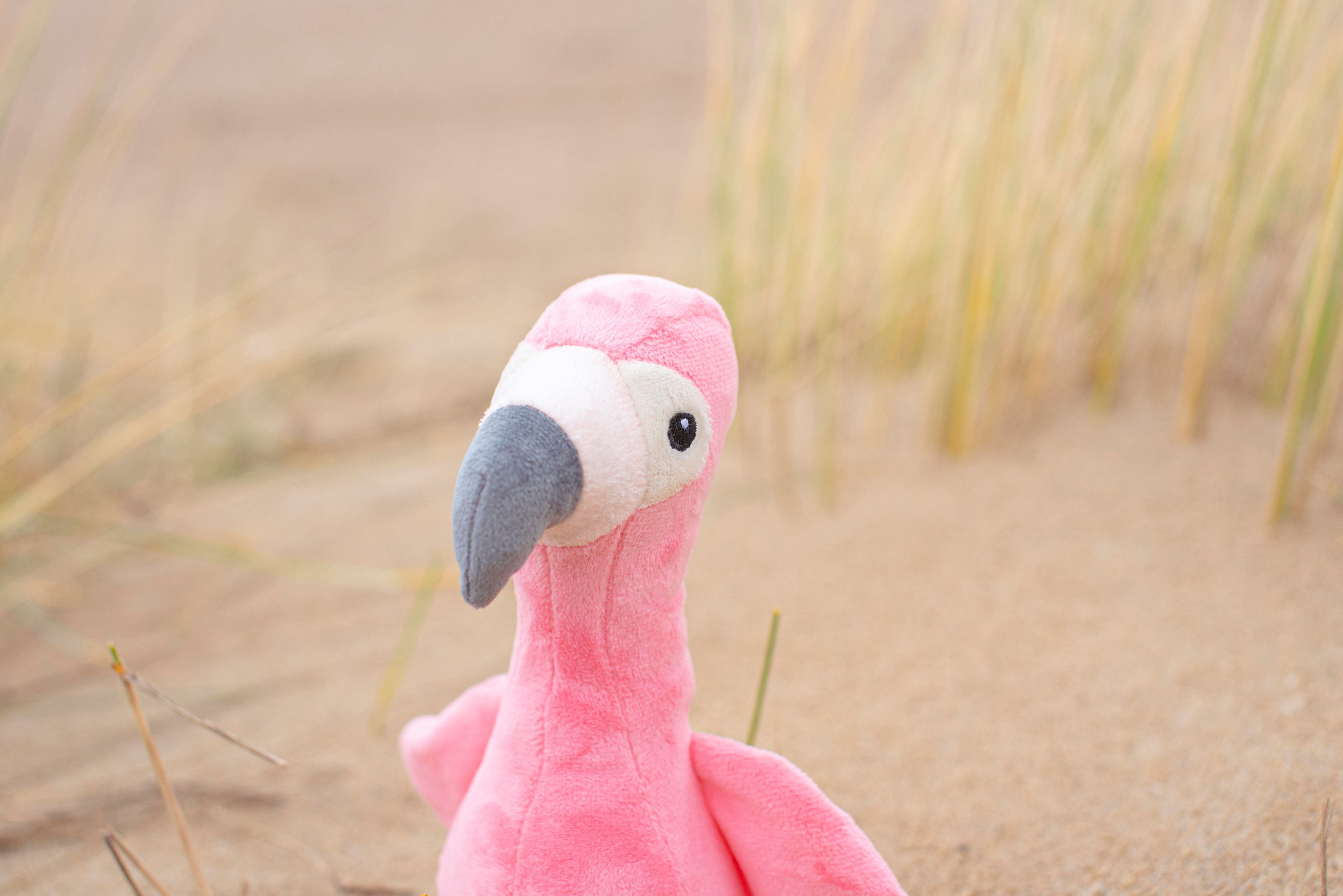 Vue 9 de Flamant rose en peluche Alicia | 18 cm