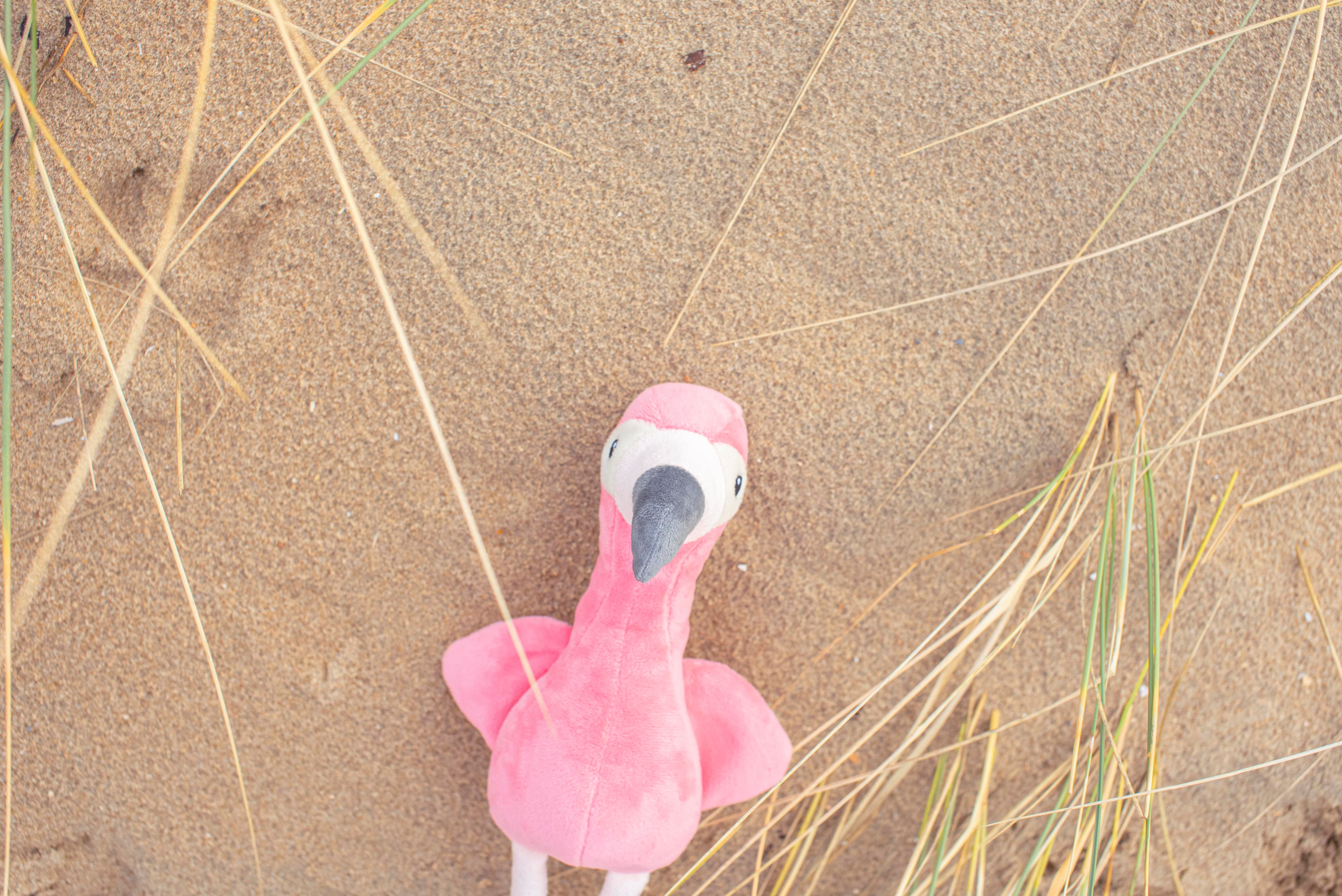 Vue 7 de Flamant rose en peluche Alicia | 18 cm