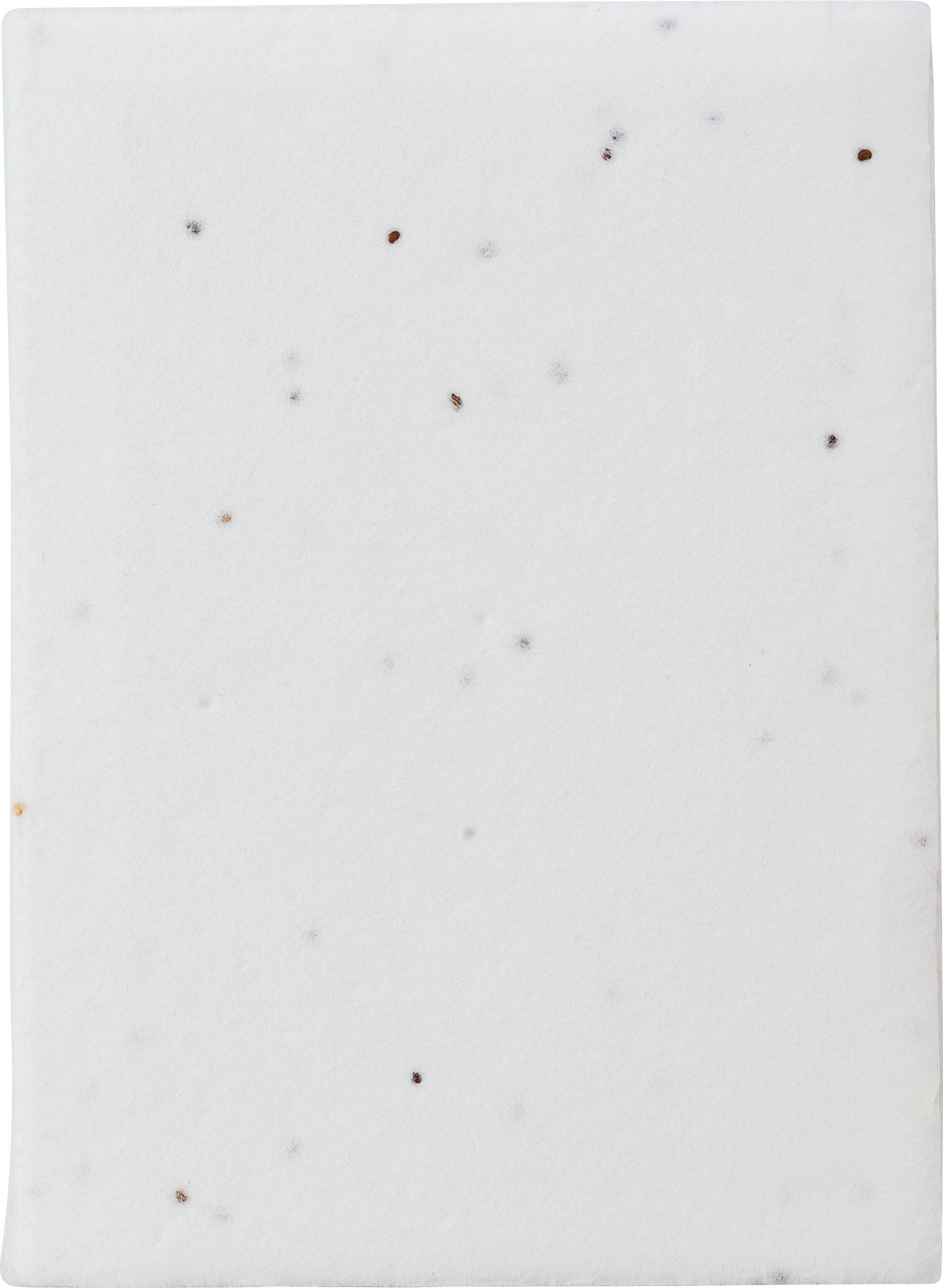 Notes adhésives Patricia | Papier ensemencé | 6 pièces