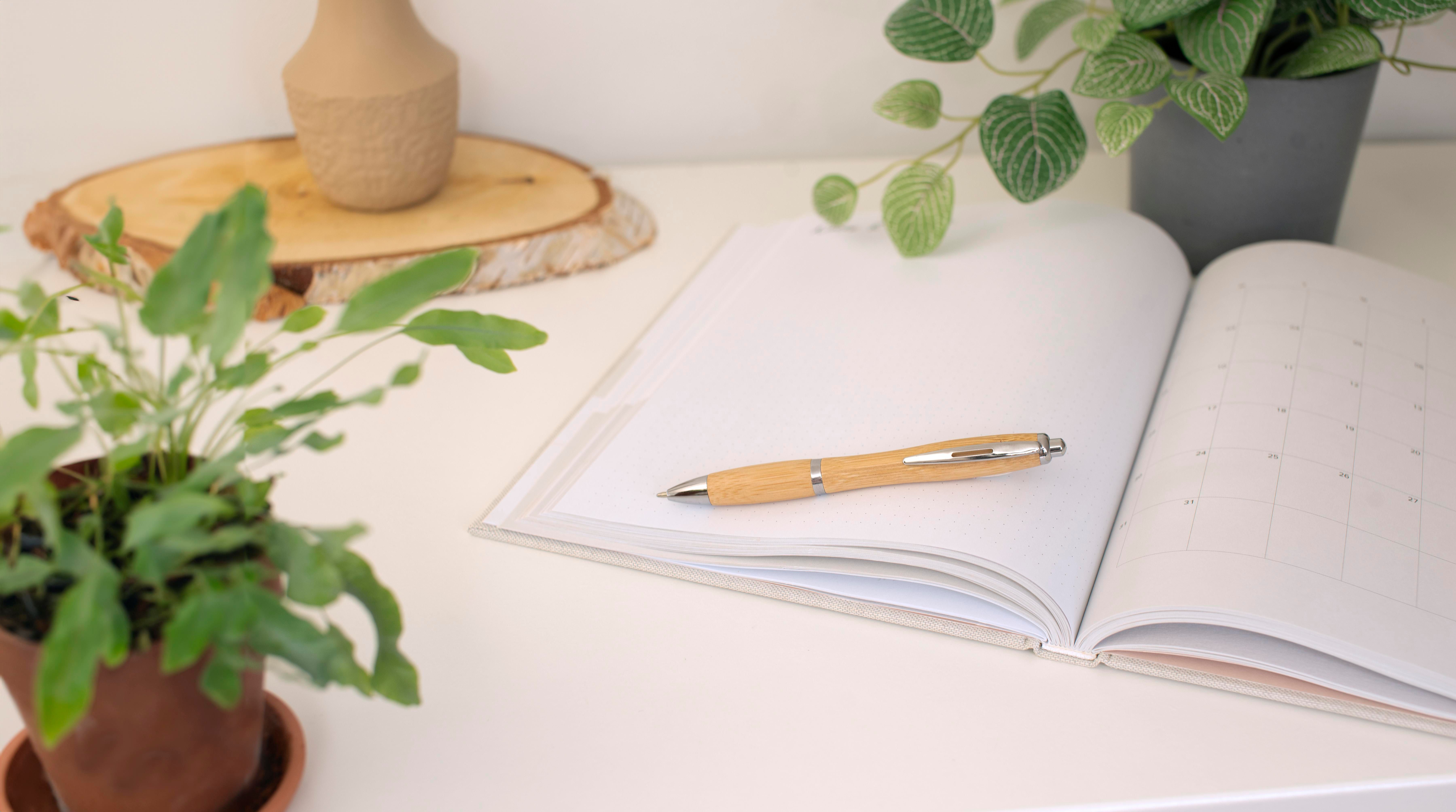 Vue 8 de Stylo bille Carson | Bambou | Détails argent