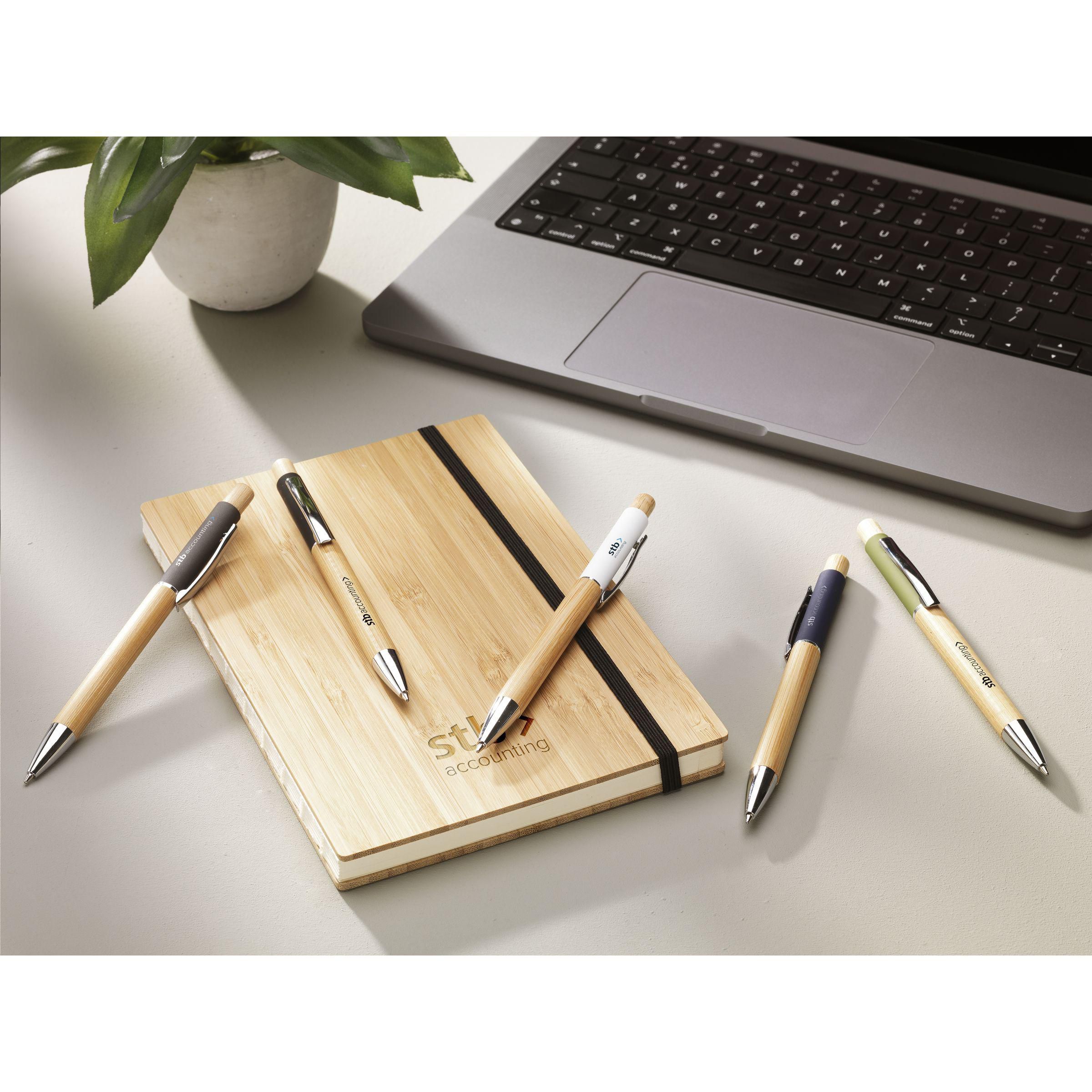 Vue 3 de Saya Bamboo Pen