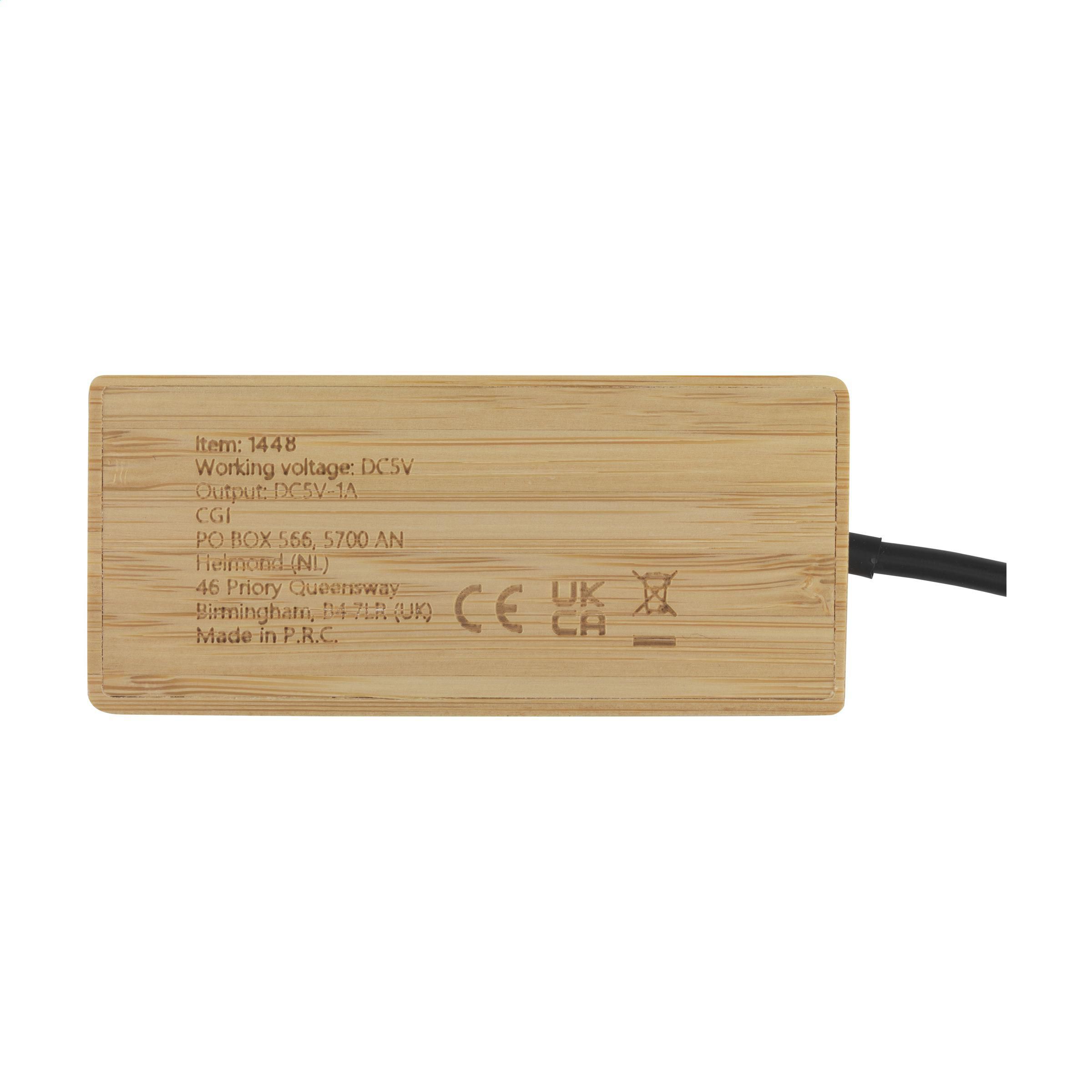 Vue 4 de Fyra Bamboo Hub