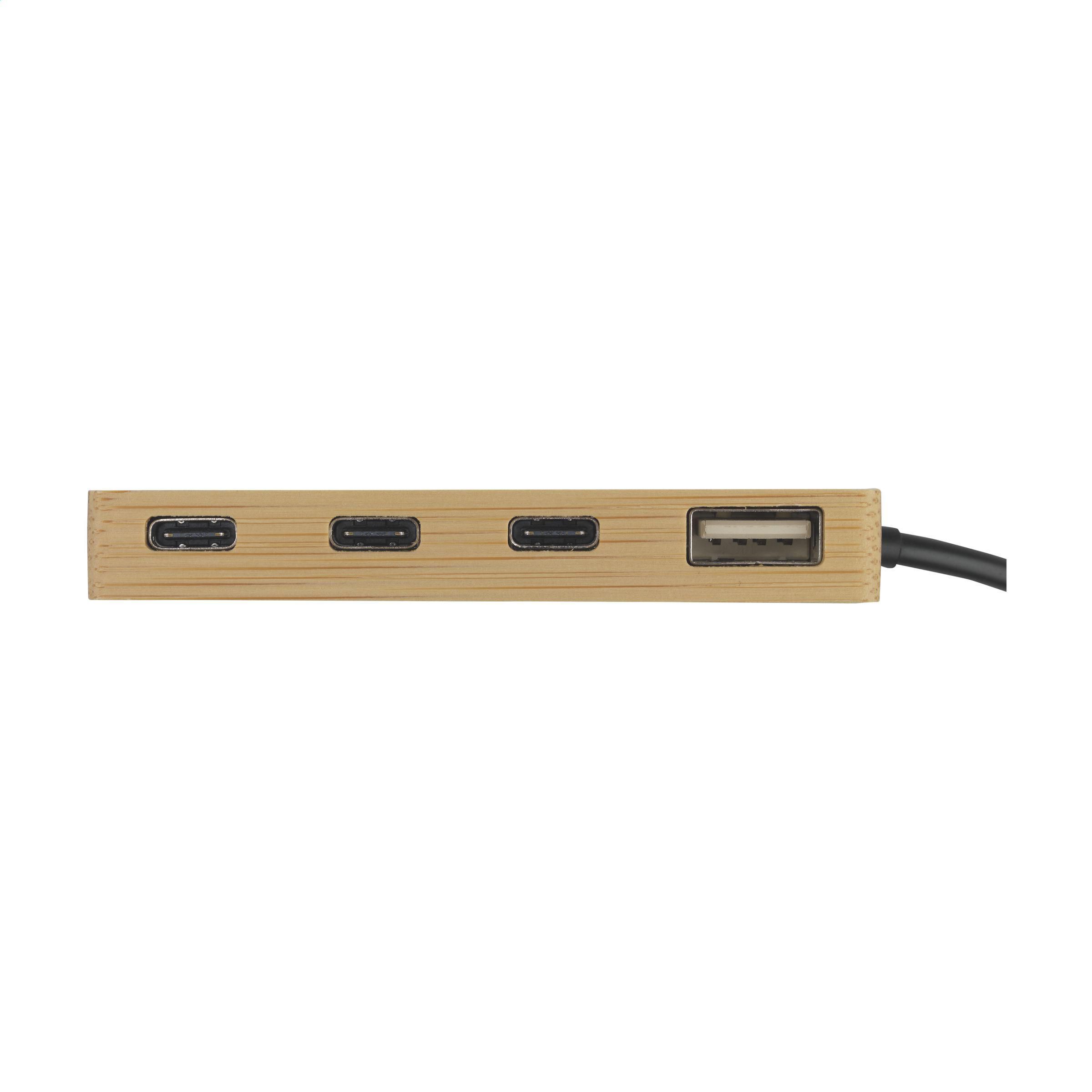 Vue 2 de Fyra Bamboo Hub