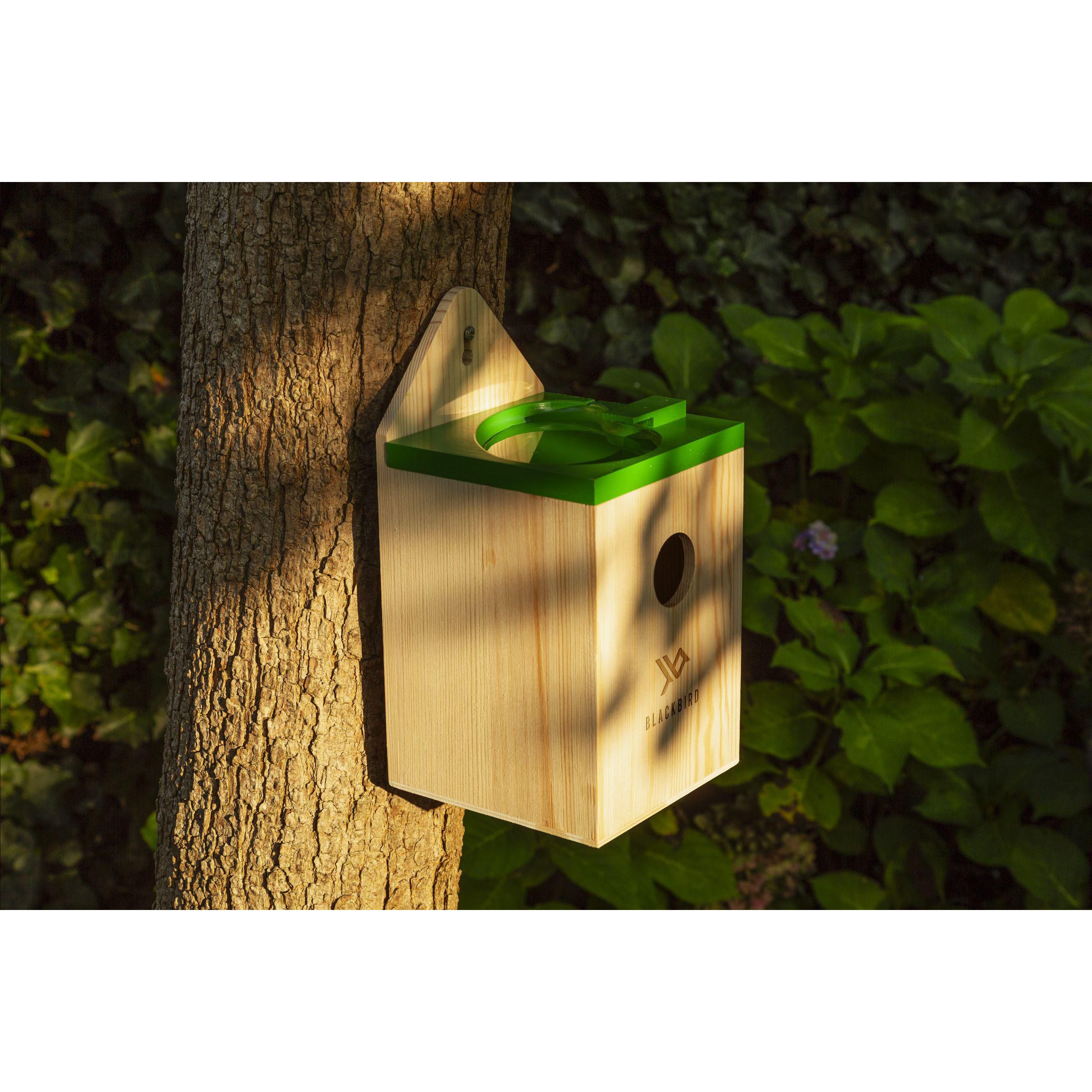 Vue 6 de Rackpack Bird Mansion