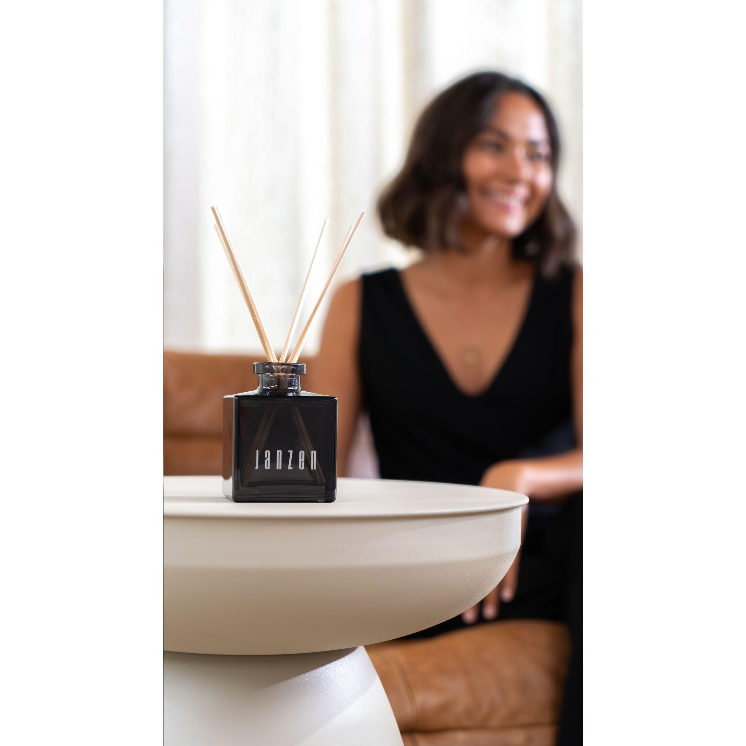Vue 6 de JANZEN Home Fragrance Sticks Skin 90